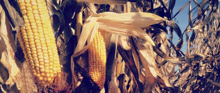 Additional Information Additional Information