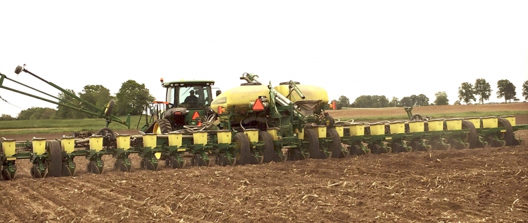 Planting Tips Planting Tips